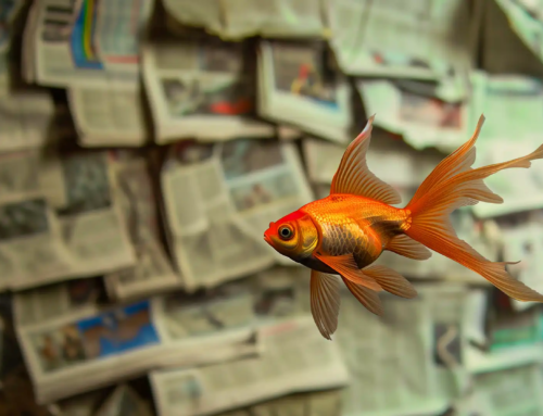 Insegnare al pesce a volare: su giornalismo e IA
